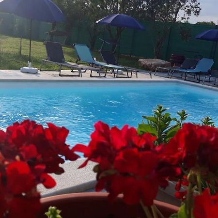 Holiday Home Dioniza Vodnjan Dış mekan fotoğraf