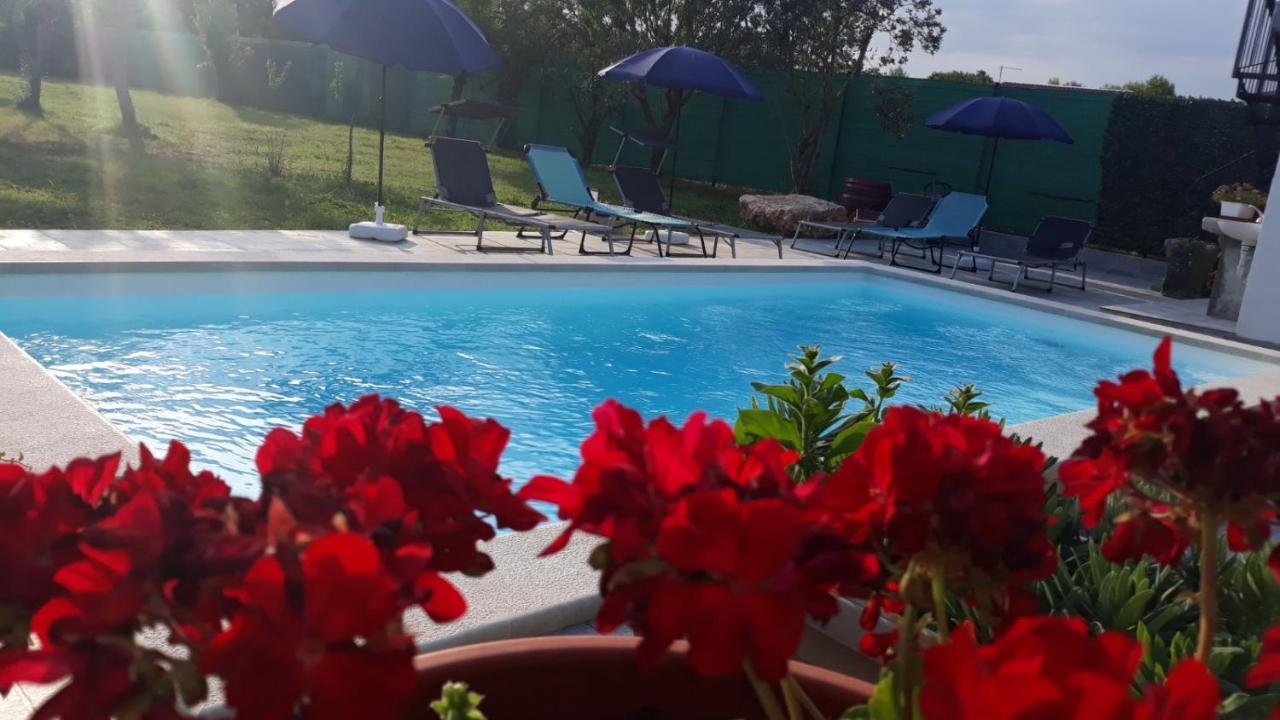 Holiday Home Dioniza Vodnjan Dış mekan fotoğraf