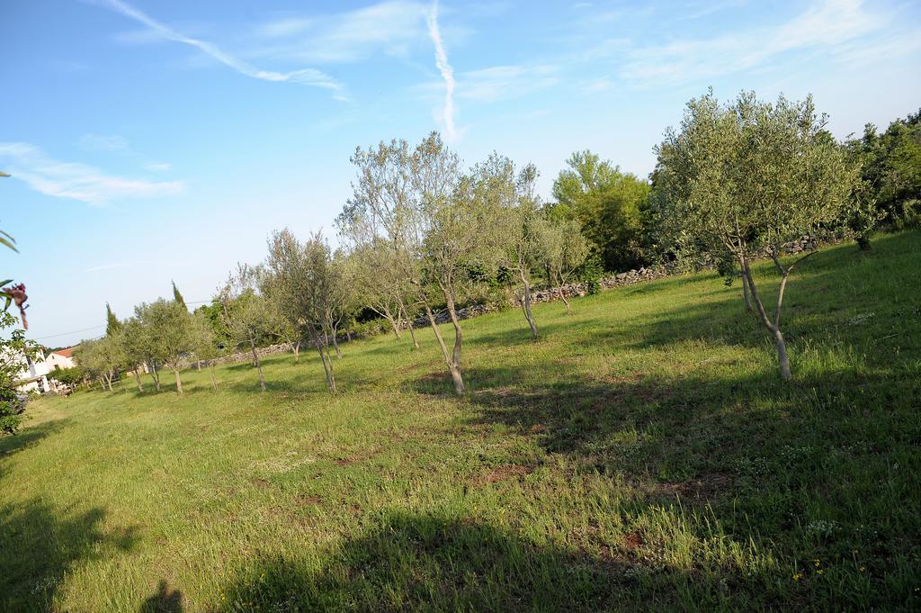 Holiday Home Dioniza Vodnjan Oda fotoğraf